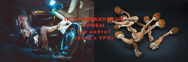 эйфоретик Ладушкин